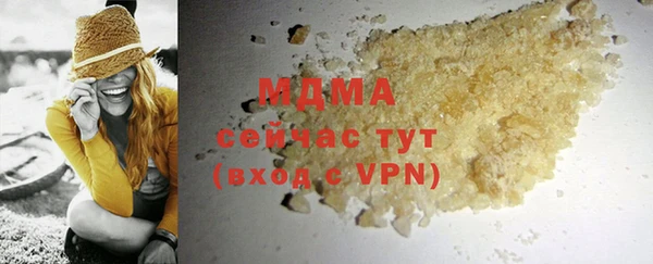 индика Бородино