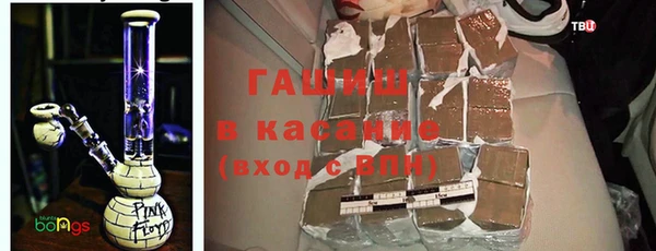 индика Бородино