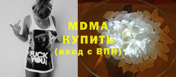 индика Бородино