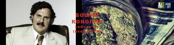 индика Бородино