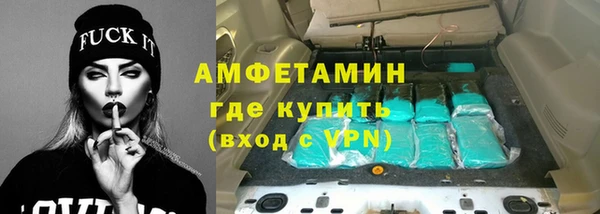 индика Бородино