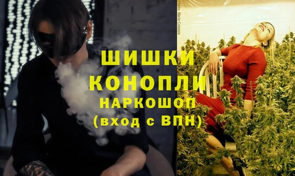 мет Мегион
