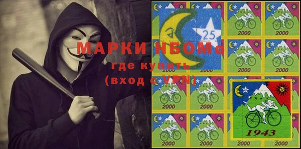 индика Бородино