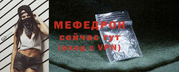индика Бородино