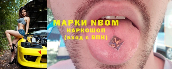 индика Бородино