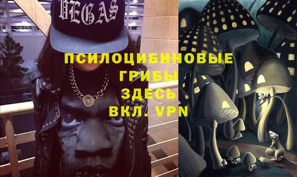 PSILOCYBIN Бугульма