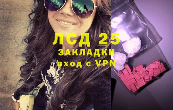 индика Бородино