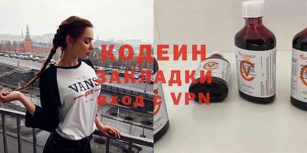 индика Бородино