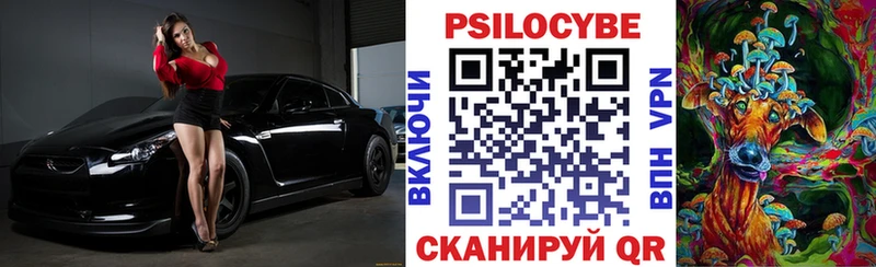 как найти закладки  Вышний Волочёк  Псилоцибиновые грибы Psilocybine cubensis 